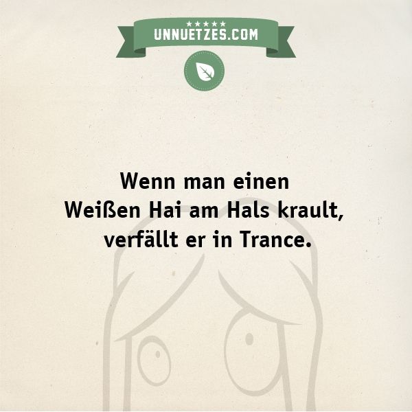 Weißer Hai