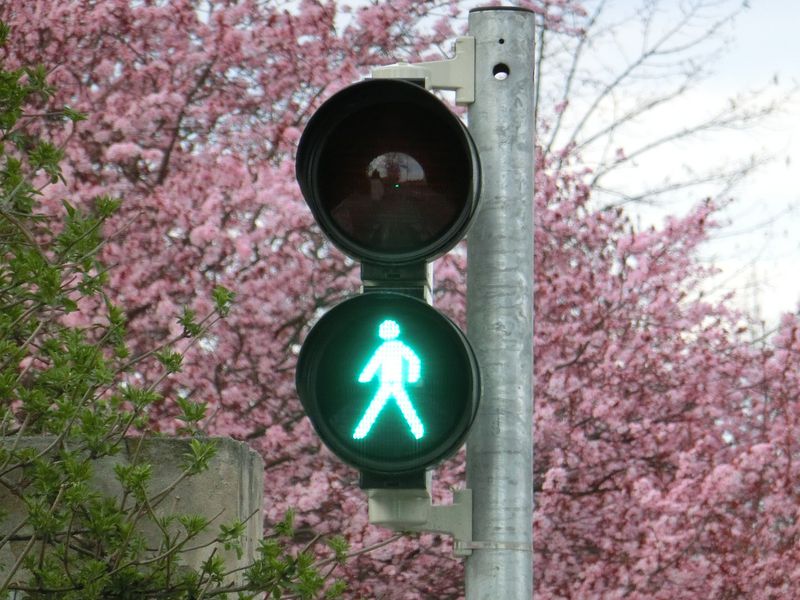 Schon gewusst? Der Knopf unter dem Ampeldrücker hat diese Funktion