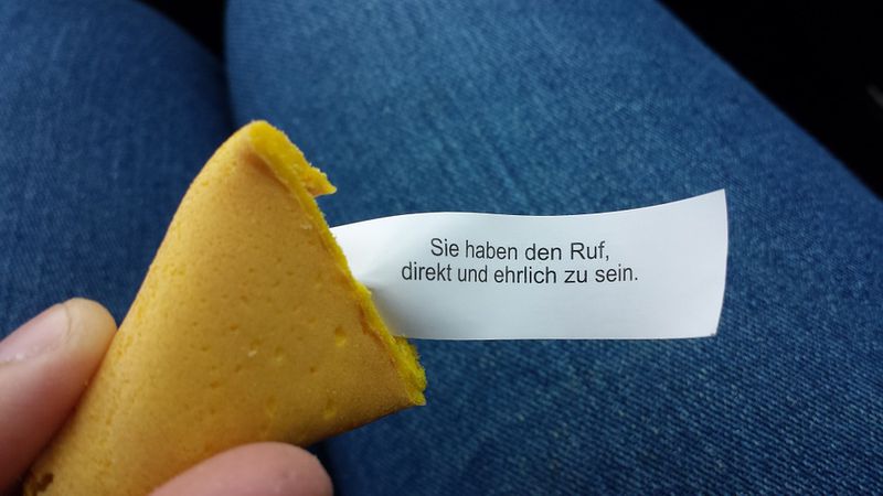 Mit diesen schrägen Berufen kannst du reich werden!