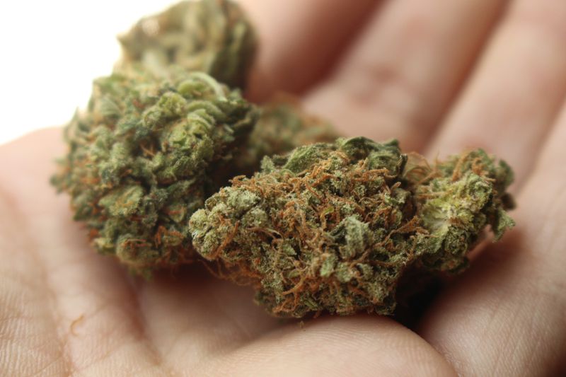 Diese deutsche Stadt möchte jetzt Cannabis umsonst verteilen