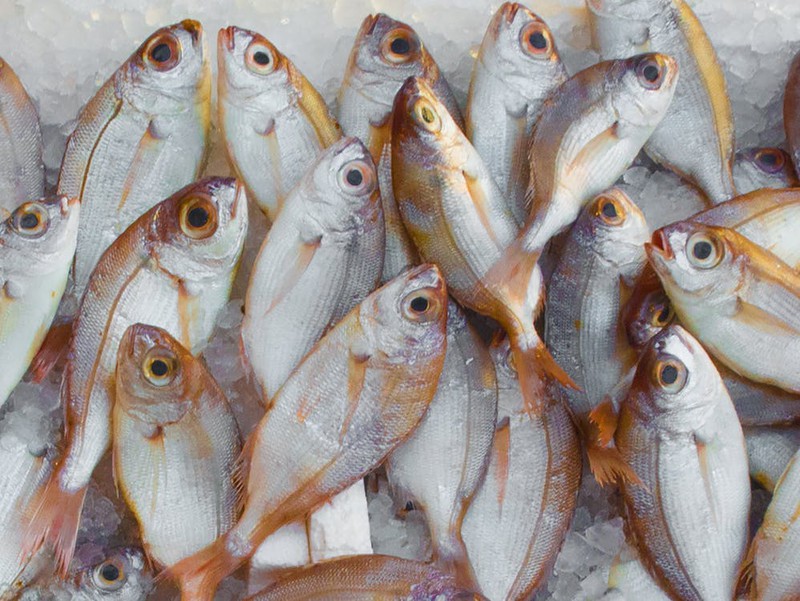 Fischgericht, das Leberkrebs auslöst