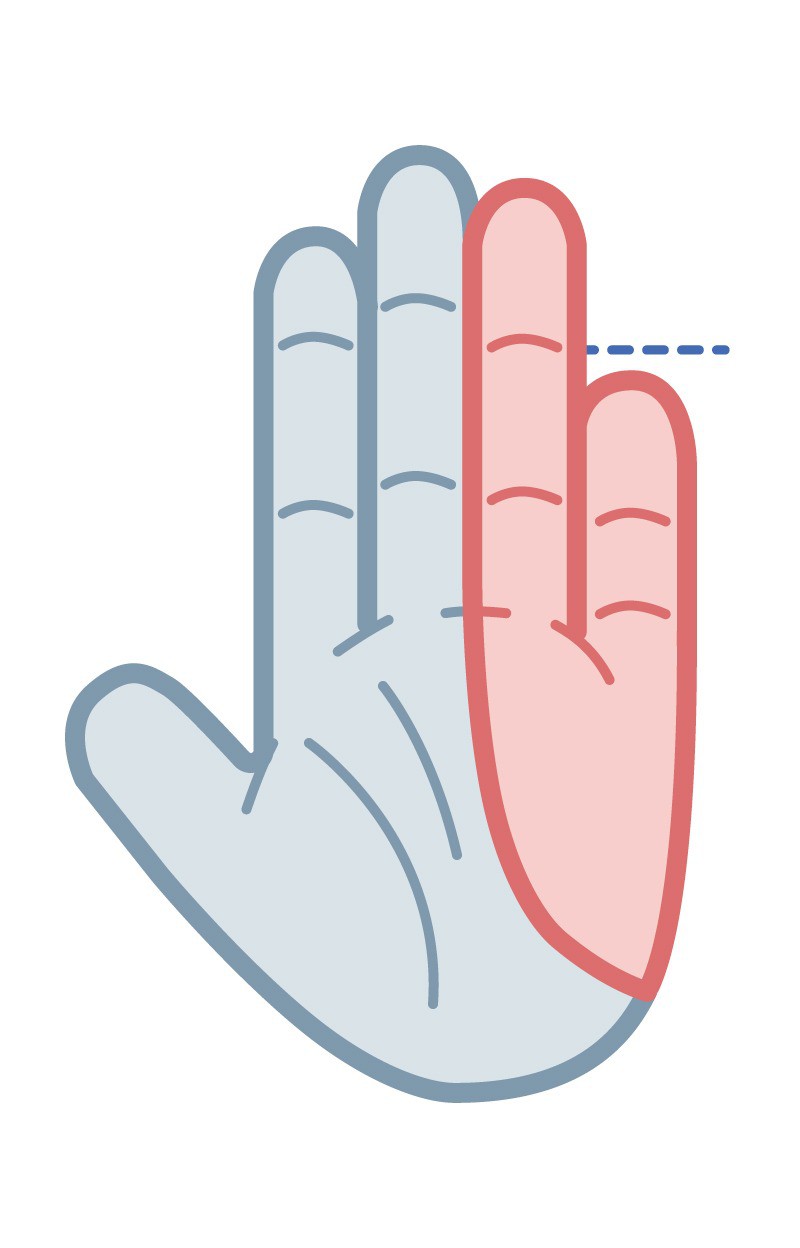 Dein Ringerfinger ist mehr als ein Fingerglied länger als dein kleiner Finger.