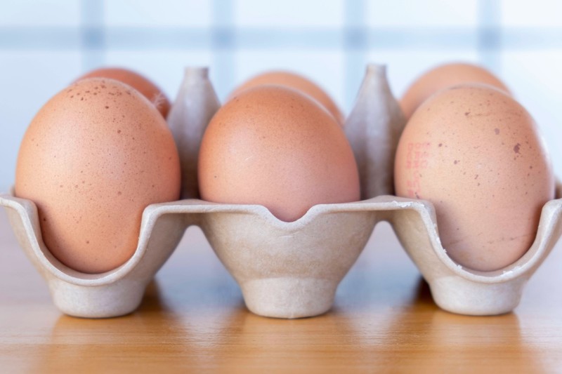 Eier verfügen über einen natürlichen Schalenschutz