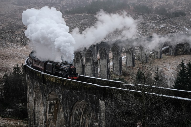 Zehn unbekannte Wahrheiten über Harry Potter