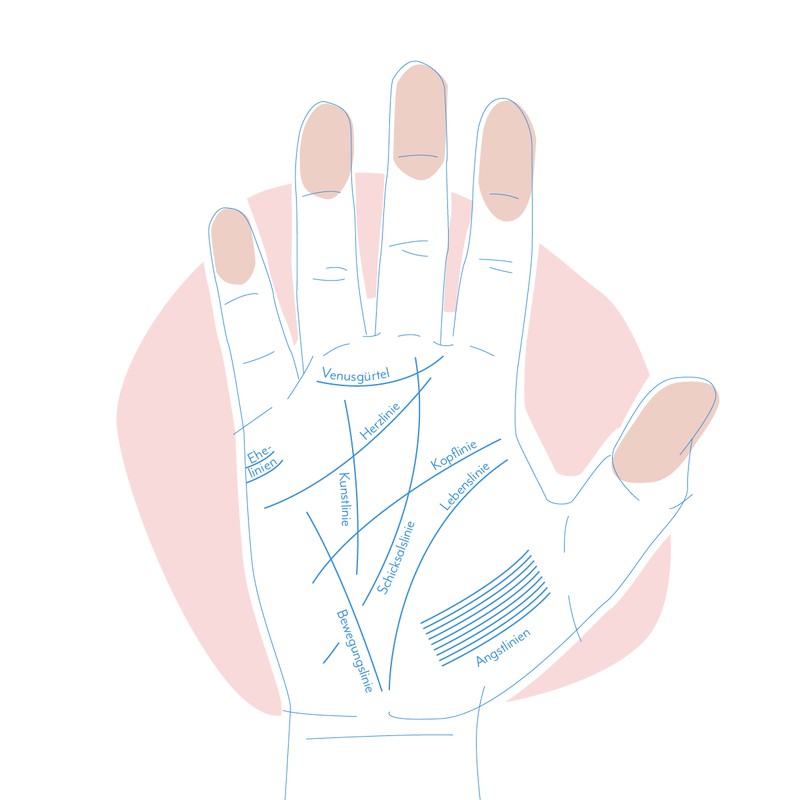 Was bedeuten die Linien in deinen Handflächen?
