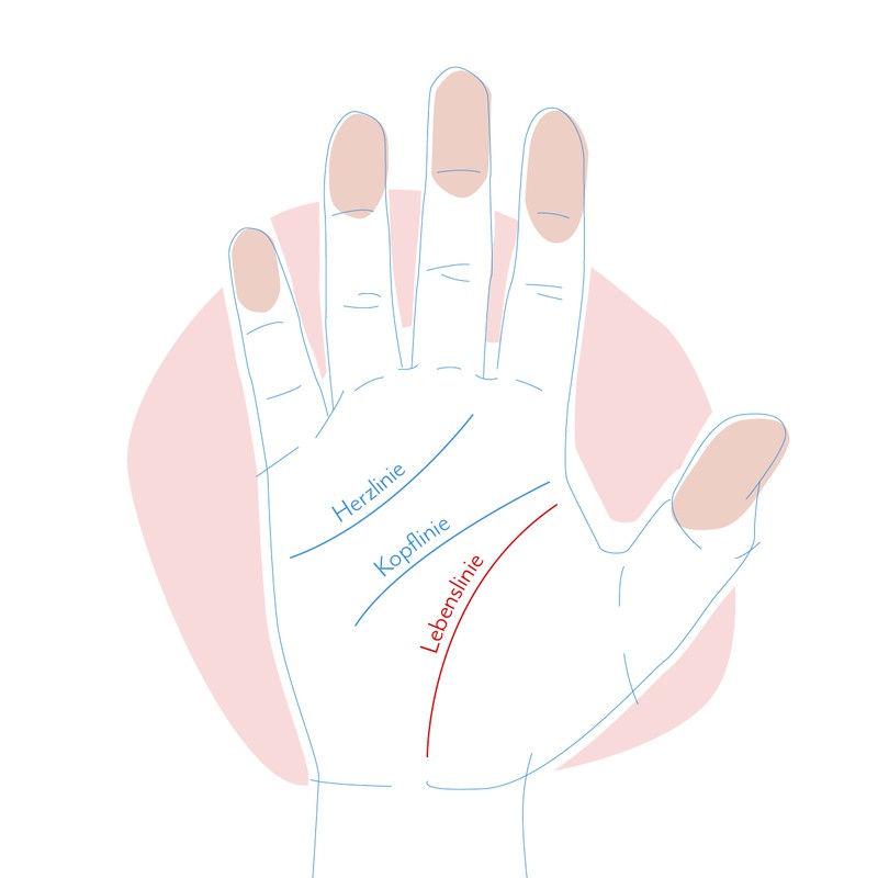 Was bedeuten die Linien in deinen Handflächen?