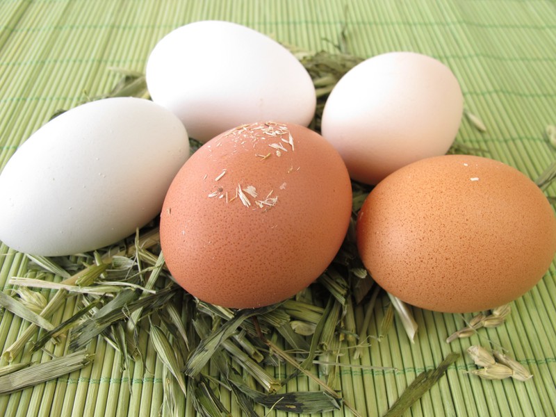 Eier können ganz verschieden aussehen, doch wie kann man überprüfen, ob sie auch frisch sind?