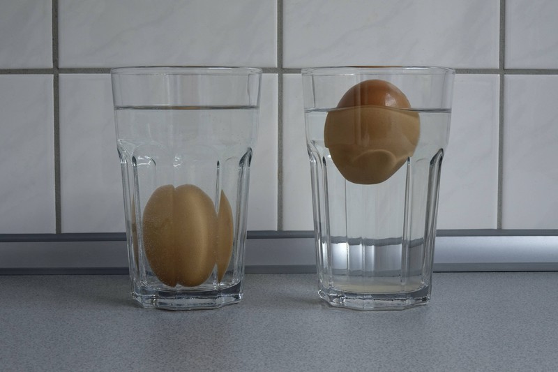 Mit dem Frischetest bei Eiern kannst du ganz einfach überprüfen, ob sie noch gut sind.