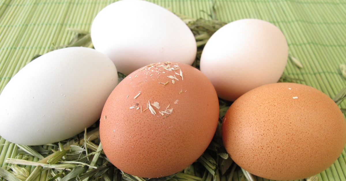 Sind die Eier noch frisch? Mit der Methode kannst du es überprüfen