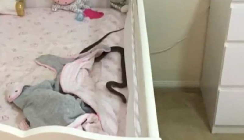 Grusel-Fund im Kinderzimmer - Mutter rettet ihrem Baby das Leben!