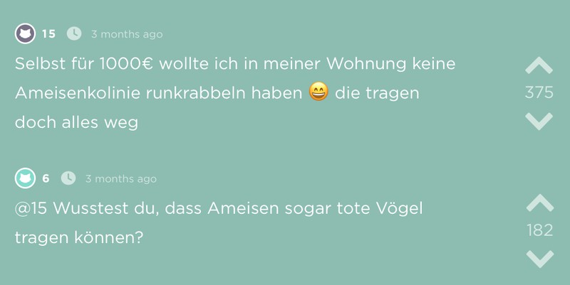 Jodler präsentiert seine beste Geschäftsidee