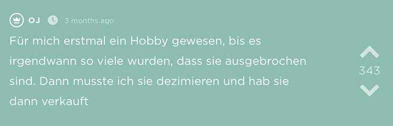 Jodler präsentiert seine beste Geschäftsidee