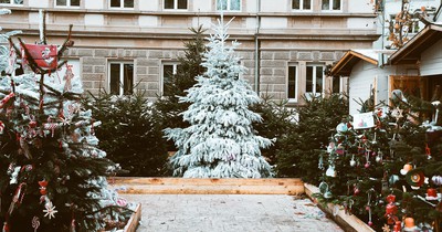 Wie wird das Wetter zu Weihnachten?