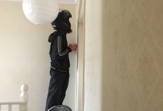 Frau bestellt beim Lieferservice, weil sie eine Spinne in der Wohnung hat
