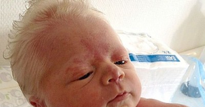 Neun Babys, die älter aussehen als sie sollten