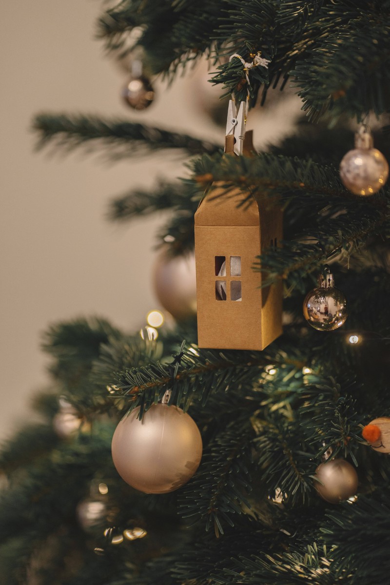 Ein Weihnachtsbaum gehört für viele dazu. Es gibt aber auch Alternativen.