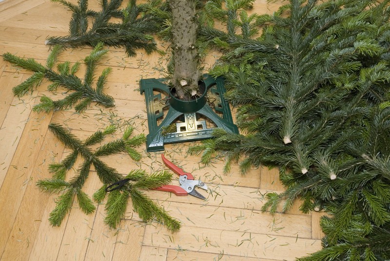 Einen Weihnachtsbaum aufzustellen ist schwieriger als man denken mag.