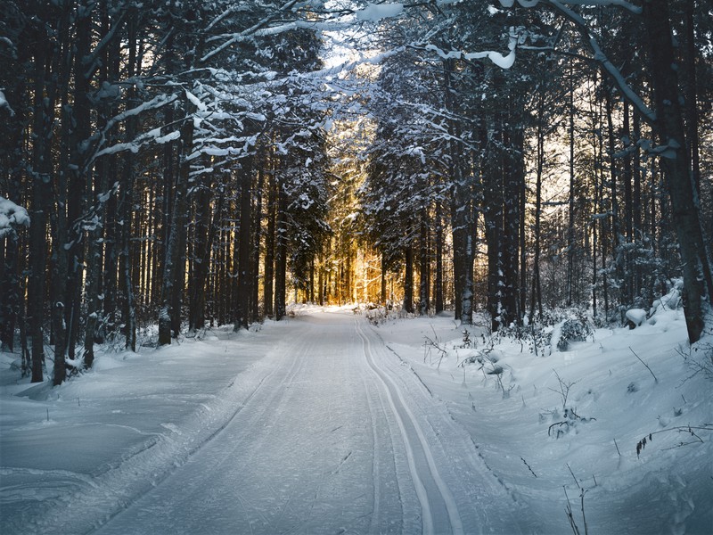 Droht Deutschland der Jahrhundertwinter?