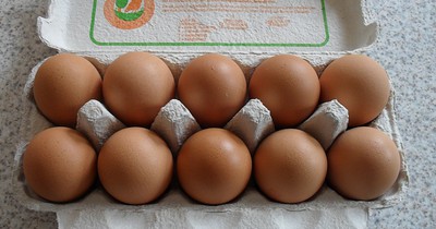 Gesundheitsgefahr bei Eierkartons