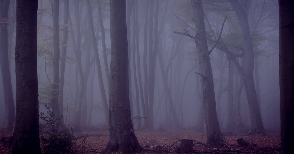 Die 10 gruseligsten Dinge, die Menschen im Wald passiert sind