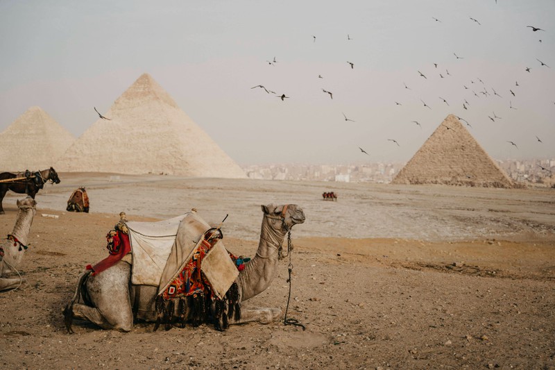 Ägypten ist für seine Pyramiden bekannt, doch im Sudan kommen sie noch häufiger vor.