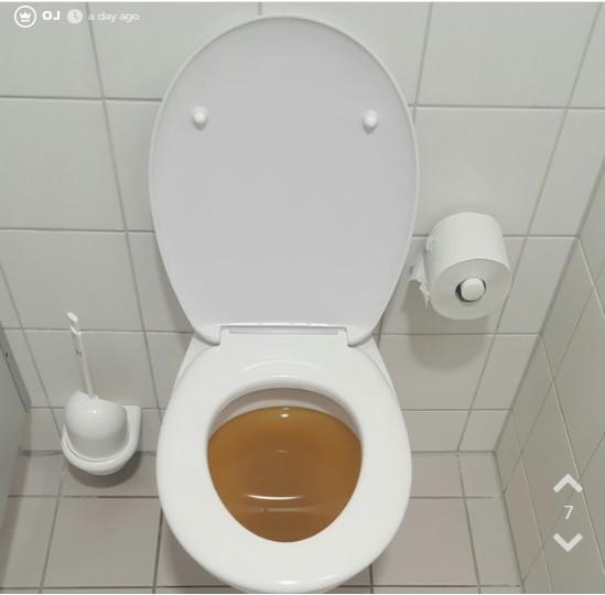 Jodler verstopft einzige Toilette auf der Arbeit