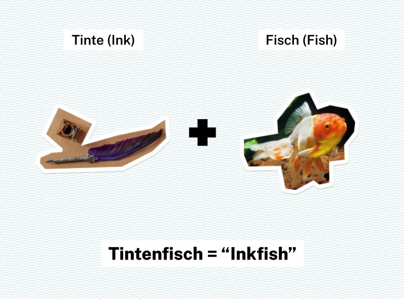 Der Begriff "Tintenfisch" hat sich bei uns bereits so sehr eingebürgert, dass wir ihn gar nicht mehr groß hinterfragen.
