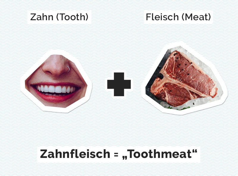 Der Begriff "Zahnfleisch" ist ein Paradebeispiel für eine Bezeichnung, bei der die Bedeutung direkt ersichtlich ist.