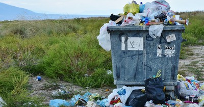 "Trashtag Challenge": Endlich mal ein Online-Trend, der Sinn macht und bei dem alle mitmachen sollte