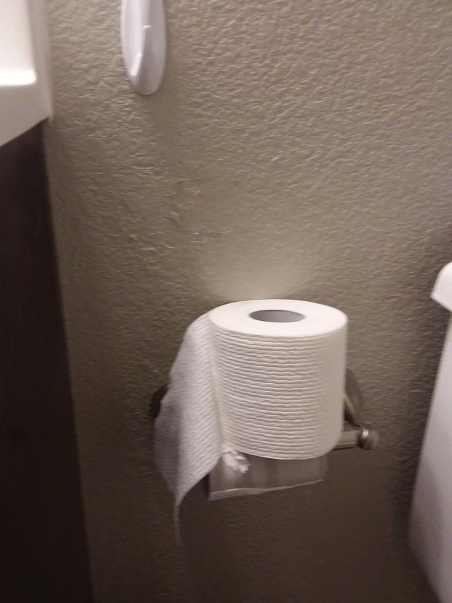 Ein Toilettenpapierhalter wird üblicherweise benutzt, damit man das Papier abrollen kann. Doch manchmal sind Menschen zu faul, um es einzuhaken
