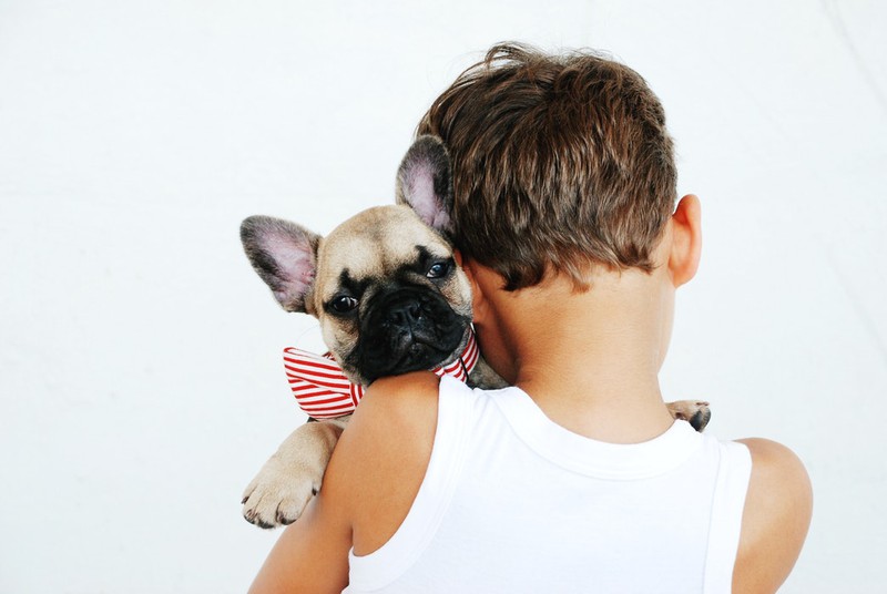 Dieses Bild zeigt ein Kind mit einem Hund.