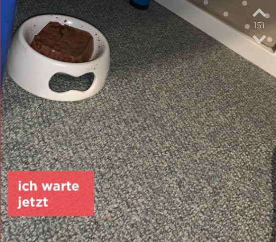 Dieses Bild zeigt einen Jodel aus Tübingen.