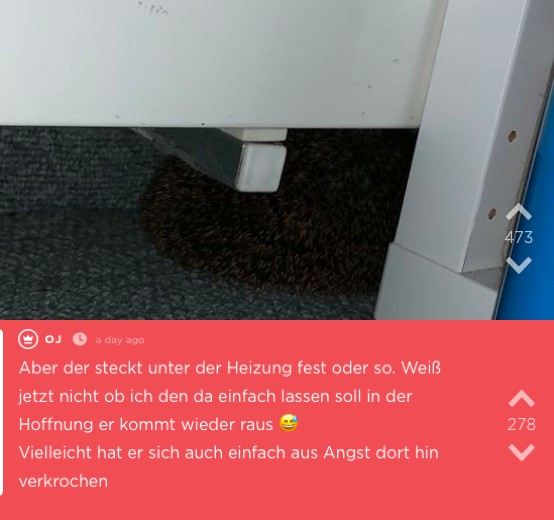 Dieses Bild zeigt einen Jodel aus Tübingen.