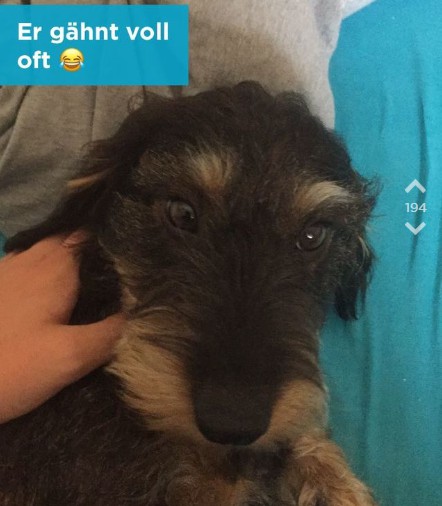 Der vierte Jodel des Jodel Beitrags.