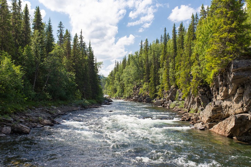 Dieses Bild zeigt einen Fluss, in dem in den USA kürzlich ein Auto versank.
