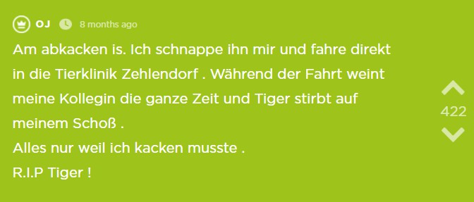 Jodel 6