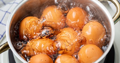 Veganerin behauptet: Ein Ei ist so schädlich wie 5 Zigaretten