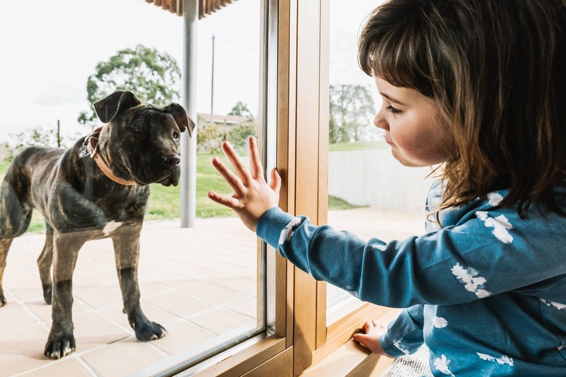 Manchmal verstehen Kinder nicht einmal, warum eine Sache so problematisch ist.