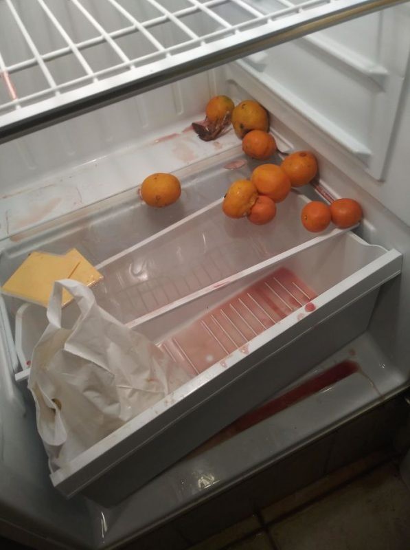 Obst im Kühlschrank zurückzulassen, ist nicht immer so nett, wie es den Anschein hat.