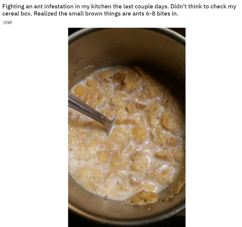 Screenshot Reddit
