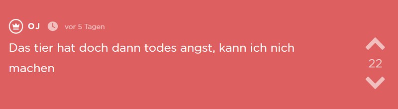 OJ hat ein Herz für Tiere