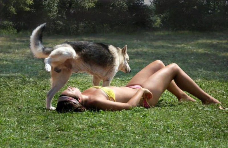 Frau wird im Park von einem Hund angepinkelt.