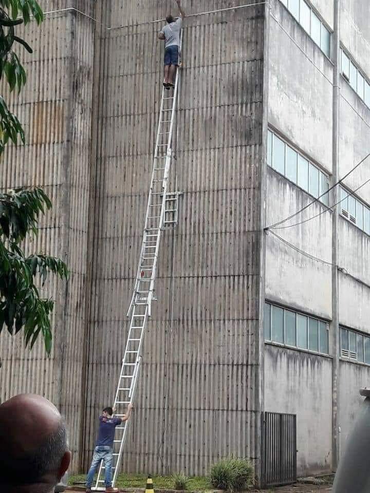 Wie schmerzhaft das Fallen von der Leiter auf dem Foto sein muss, erkennt man nur durch's Anschauen.