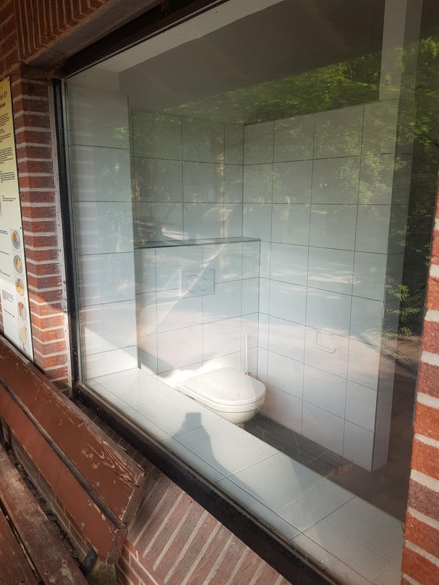 Eine Toilette direkt vor einem Fenster vor dem eine Bank steht.
