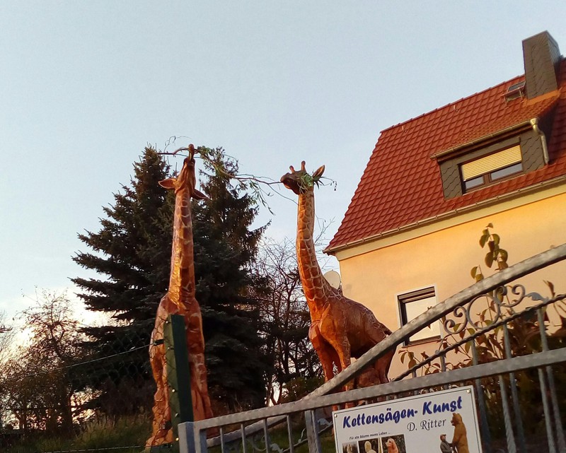Man sieht unechte Giraffen im Garten des Nachbarns