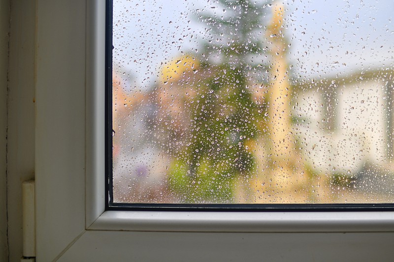 Man sollte die Luftfeuchtigkeit immer gut beobachten, damit sich nicht zu viel Wasser am Fenster bildet