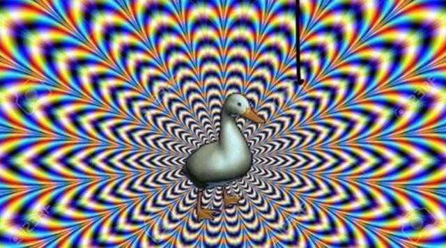 Ein Bild mit einer Ente, die in einer optischen Täuschung eingebaut ist
