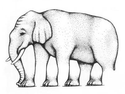 Elefant, dessen Beinanzahl einen verwirrt