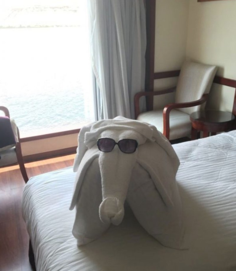 Hotel, das seine Handtücher in Elefantenform zusammenfaltet