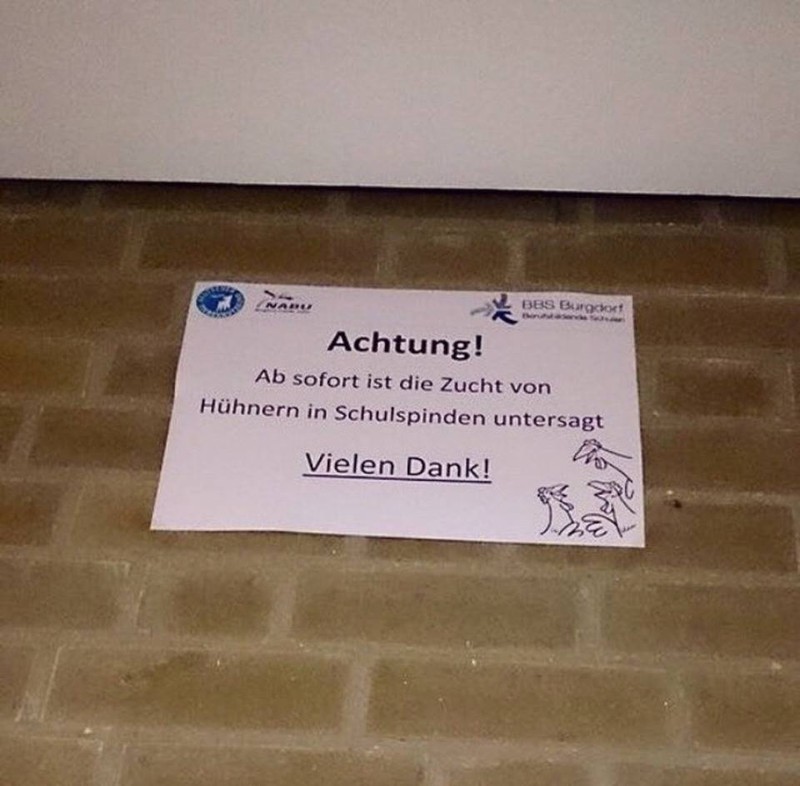 lustiges Bild in der Schule